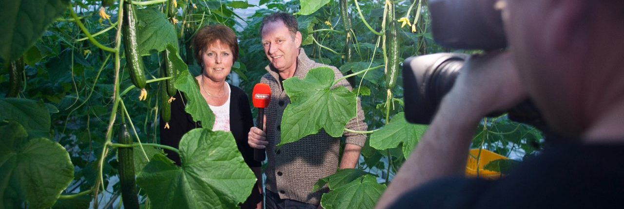 piet paulusma komkommers