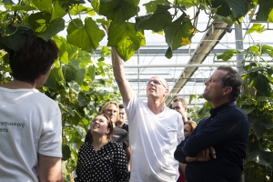 workshop over een komkommerkwekerij