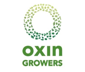 oxin komkommerbedrijf willems ewijk