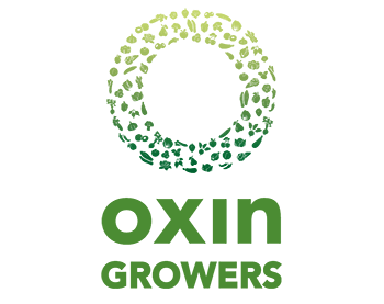 oxin komkommerbedrijf willems in ewijk